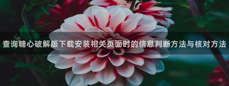 糖心vlog桥本香菜