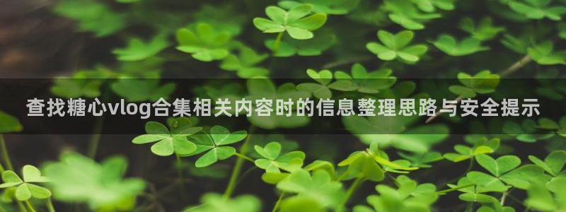 心糖logo官网入口网页