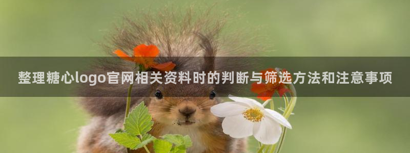 糖心vlog日常