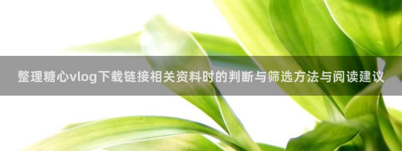 破解版糖心