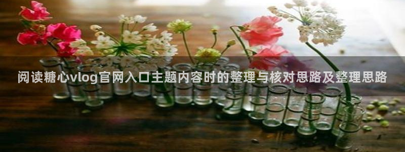 糖心app在线观看