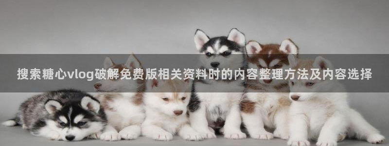 糖心vlog在线:搜索糖心vlog破解免费版相关资料时的内容整理方法及内容选择